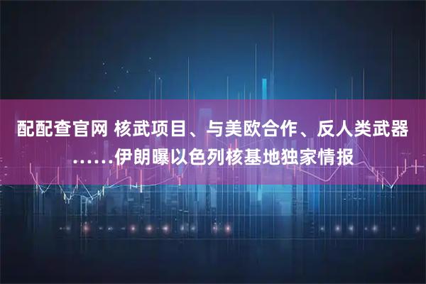 配配查官网 核武项目、与美欧合作、反人类武器……伊朗曝以色列核基地独家情报